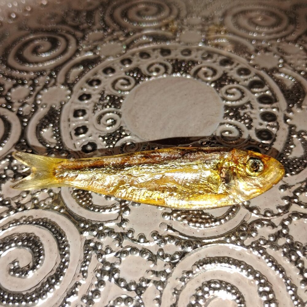 Vintage Ken Loeber Pop Art Tie Bar Clothes Clip Pin Minnow Fish Acrylic Lucite